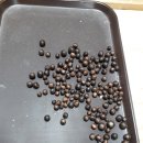 다듬다듬 이미지