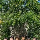 삼삼 어린이집 이미지