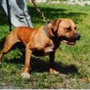 메이데이 이미지