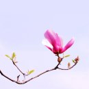 현도중학교 이미지