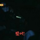 선우차유리 이미지