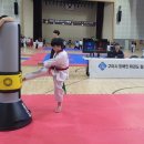 국가대표 넘버원 태권도 이미지