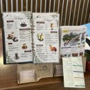 테리스짐 | 베트남 달랏 _ 뷰좋은 가성비 호텔 추천 [ 브릭 하우스 ] 내돈내산