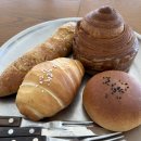 제니스 | 새해다이어트 시작 | 요요없는 체형관리 청주 이뮨팩토리 제니스(구 셀포랩 제니스) 후기