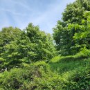 (주)기원농장 이미지