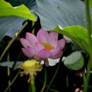 동우대학 이미지