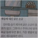 제습제 ~~ 굵은 소금 효과 이미지