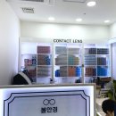 봄안경(용이점) 이미지