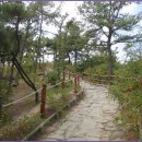 둘레길7구간 이미지