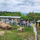 월봉목장 이미지