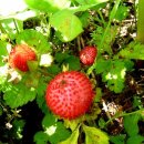 금곡영화마을 이미지