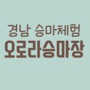 학생승마체험, 여기도 있네? 거창 오로라 승마장.(경기도학생승마체험X)
