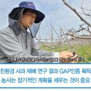 명품스토리 이미지