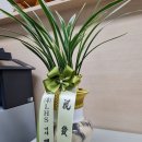 누리한방병원 이미지