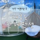하이문키즈&가족펜션 | 대부도 풀빌라 독채 펜션 단체 가족여행 내돈내산 후기