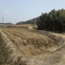 신북공인중개사사무소 이미지