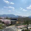 챔피언부동산공인중개사사무소 이미지