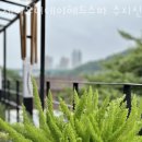 용인 신봉동 미용실 제이유더데이헤드스파 수지신봉점 영업시간 가는길