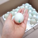 청계복지농장 이미지