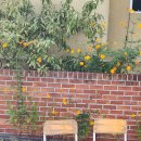 도봉로1길-7 이미지