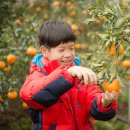 규리 농장 이미지