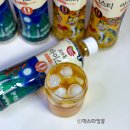 한국디자인진흥원 노동조합 | 보성홍차아이스티한라봉 국가유산진흥원콜라보 국내산홍차엽 제로 칼로리 아이스티