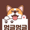 멍글멍글애견호텔미용 이미지