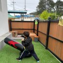 샵 초도 이미지