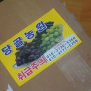 당골농원 이미지