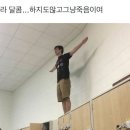 헌릉로 | [31기 KOICA 해외사무소/재외공관 영프로페셔널 YP] 자기소개서 &amp; 면접 후기