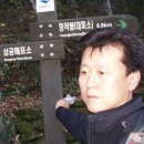 나변