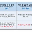 폐기능 검사 종류와 방법 이미지