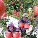 학림농장 이미지