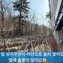 오포자이공인중개사사무소 이미지