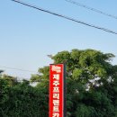 야놀자_키인 | 내돈내산) 제주프리렌트카 후기 및 주의사항, 제주패스렌트카 찜카 할인 - XM3 신형