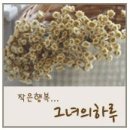그녀의하루