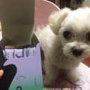 세진선식 | [내돈내산] 선이고은한의원 한약다이어트, 2일차 솔직후기
