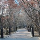 근대로의여행 골목투어4코스 이미지