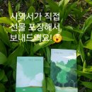 시와서가 이미지
