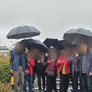 주식회사 홍반장더투어제주 | 제주도 승합차 투어 예약으로 완성한 대가족 여행, 이동 스트레스가 사라진 실제 후기
