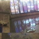 문산셀프킹 이미지