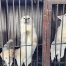 다니엘 농장 이미지