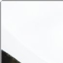 신림자유한의원 이미지