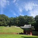 이진무묘 이미지