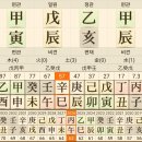 정격(正格)인가 기명종살(棄命從殺)인가 이미지