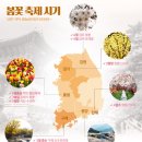 2018년 봄꽃개화시기 및 축제행사 이미지