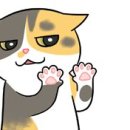 김미경 동물병원 이미지