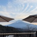 언덕카페 이미지