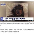 소근소근 이미지