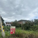 백촌 | 고성 맛집 백촌막국수 후기 테이블링 하세요